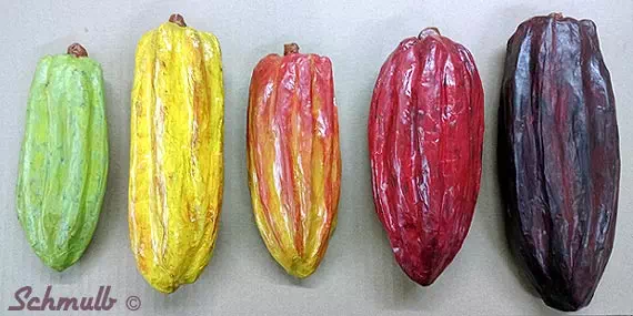 Cabosse de cacao en papier